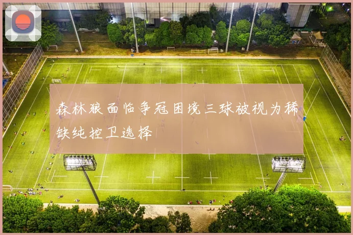 森林狼面临争冠困境三球被视为稀缺纯控卫选择